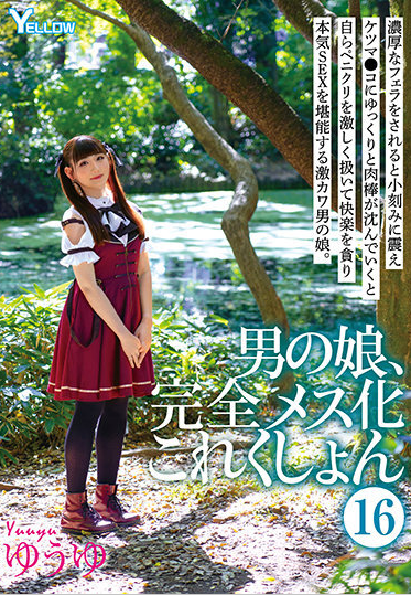 【自打包】精神污染第10弹-日本TSyuuyu-男之娘、完全女人化精選 16，骑兵（1V,4.6G）