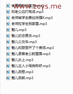 NO.121 （一补）魅儿中文同人音声13部