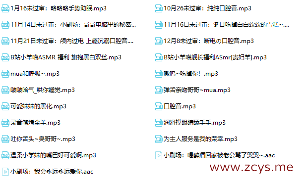 水蜜小羊喵音频小合集（21A  439MB）