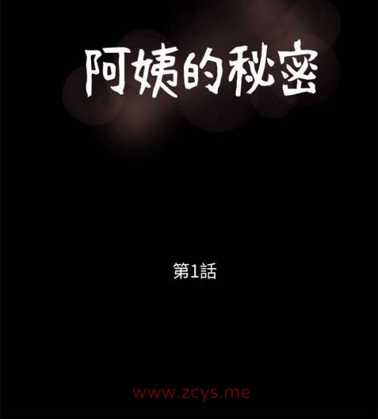 【全彩韩漫】阿姨的秘密 1-65（完结）PDF