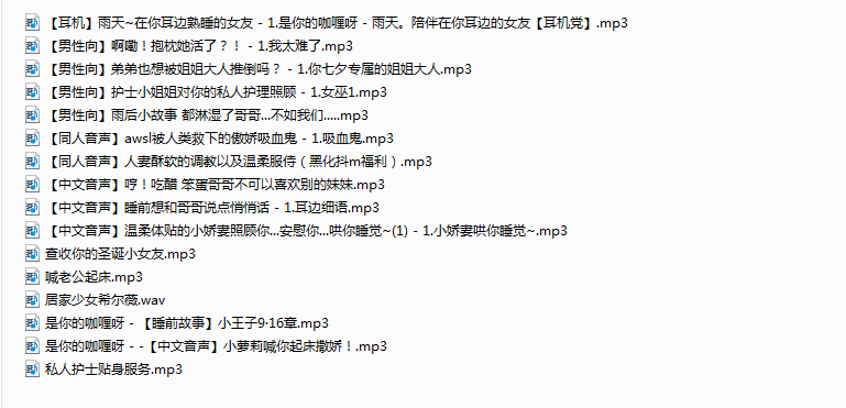 NO.223 B站不要吃咖喱合集二 12V 65A 23P 5.5G