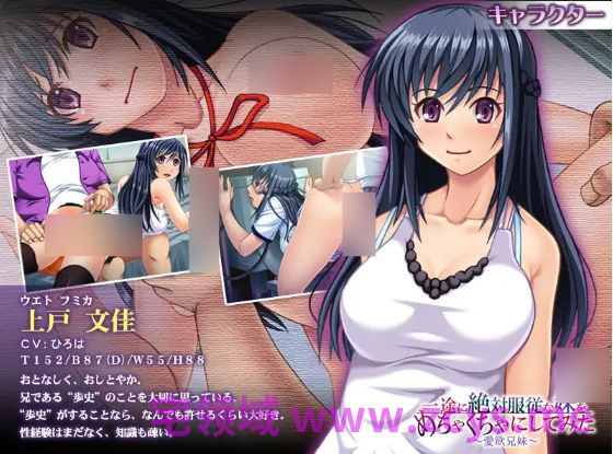 【拔作ADV】一途に絶対服従な妹をめちゃくちゃにしてみた~愛欲兄妹~AI汉化版