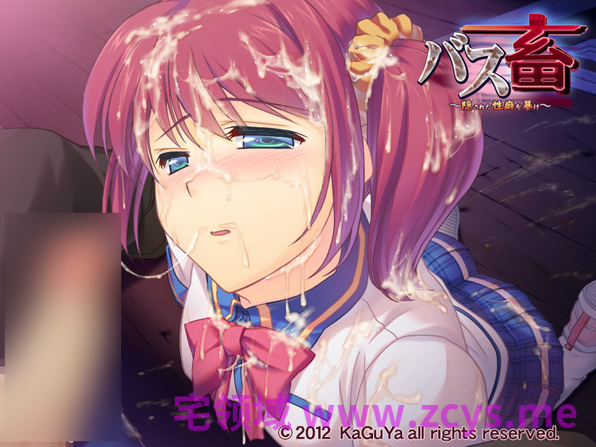【拔作ADV】バス畜 ～隠された性癖を暴け～AI汉化版
