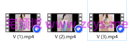 极品福利姬樱狸子  未流出 [3V-476MB]