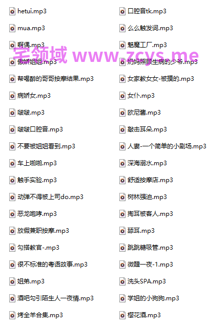 羞维娅 18+音频合集 1.01G百度盘