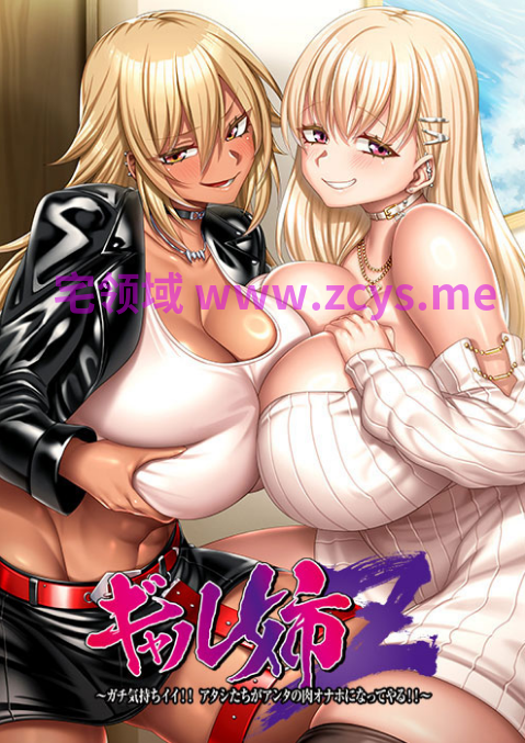 【拔作ADV】辣妹大姐姐 Z Steam官方中文版[新作][机翻]