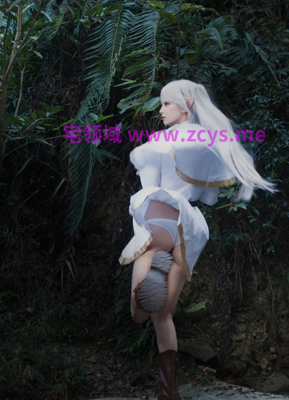 Tsubaki - 洛琪希、楪祈、芙莉莲【49P230M】