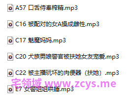 奈兔sama 18+音频 453M百度盘