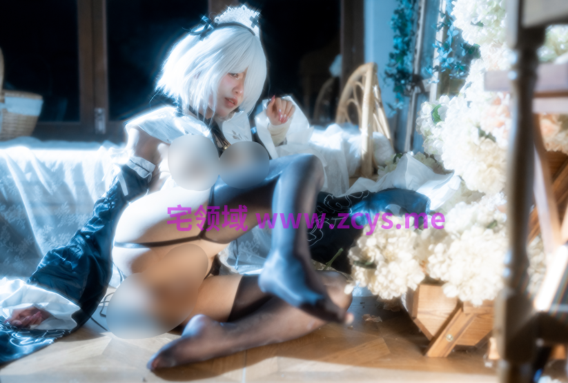 （改）铁手叫兽 小u女仆+2b柔光 [20P1V]2.64g