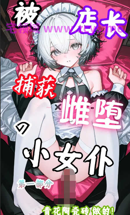 [青花陶瓷砖]被店长捕获雌堕的小女仆1-3+杀手兔编织出爱的小女仆 上中[1264P/720M]