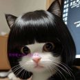 春华